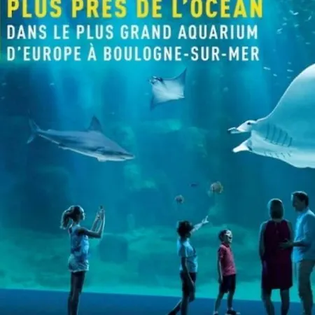 Appartement Le Surfeur Cosy